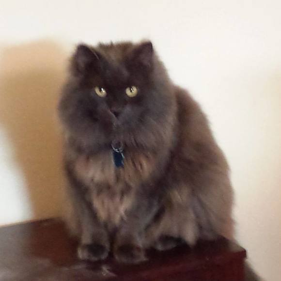 Meet your Posher, Rod - Picture 1 of 1